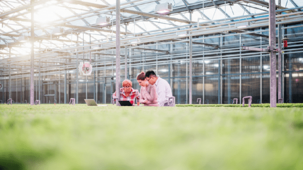 Image compliments of Greenbelt Microgreens, Ontario, Canada|Image compliments of John Innes Centre, Norwich, United Kingdom|heliospectra1